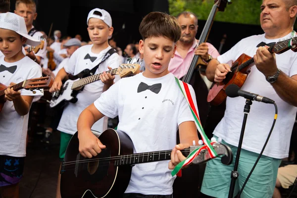 Egy fiatal SUGO-gitáros énekel játék közben a margitszigeti főpróbán, mögötte tamburás és nagybőgős zenészekkel.